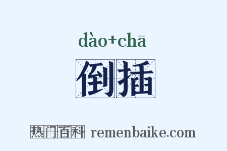 倒插是什么意思的图片